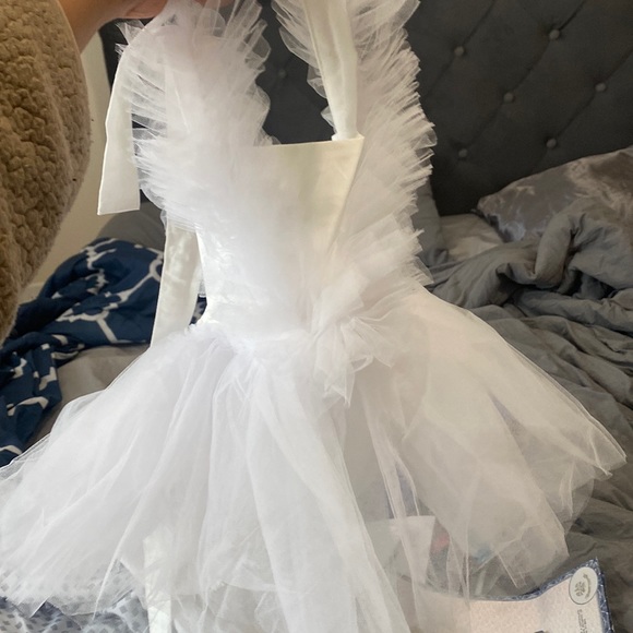 Super cute 1st birthday dress only worn once for birthday pictures!